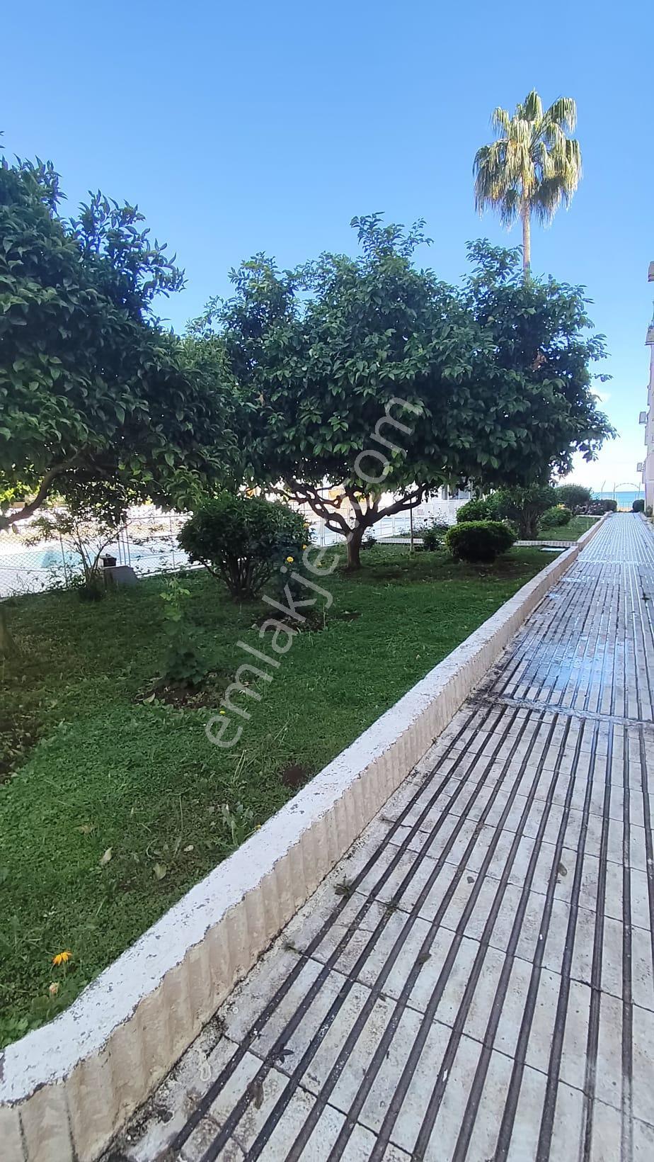 3+1 Tece Seymenli'de Denize Sıfır, Havuzlu, Bahçe Katı Daire - Görsel 26