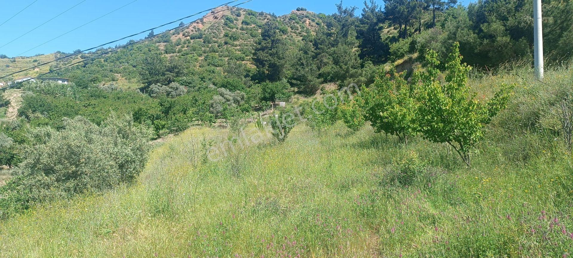 Ağabey Gayrimenkul Den Bozkır Mahallesinde Satılık Arazi - Görsel 6