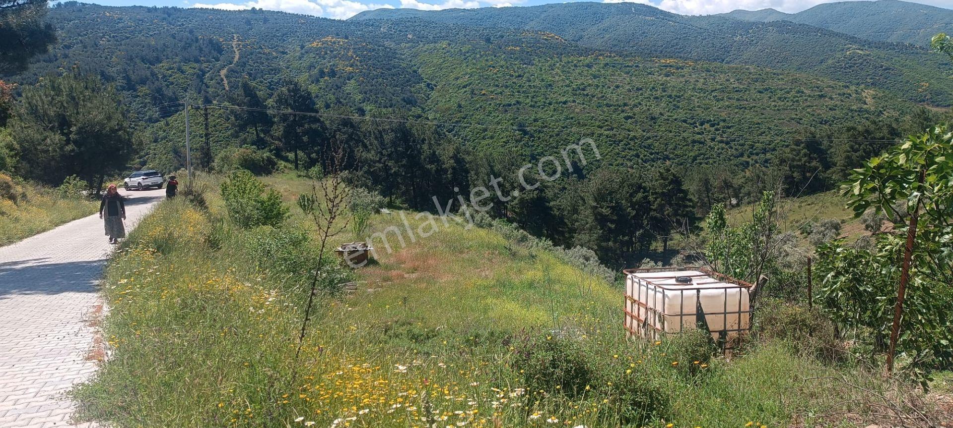Ağabey Gayrimenkul Den Bozkır Mahallesinde Satılık Arazi - Görsel 4