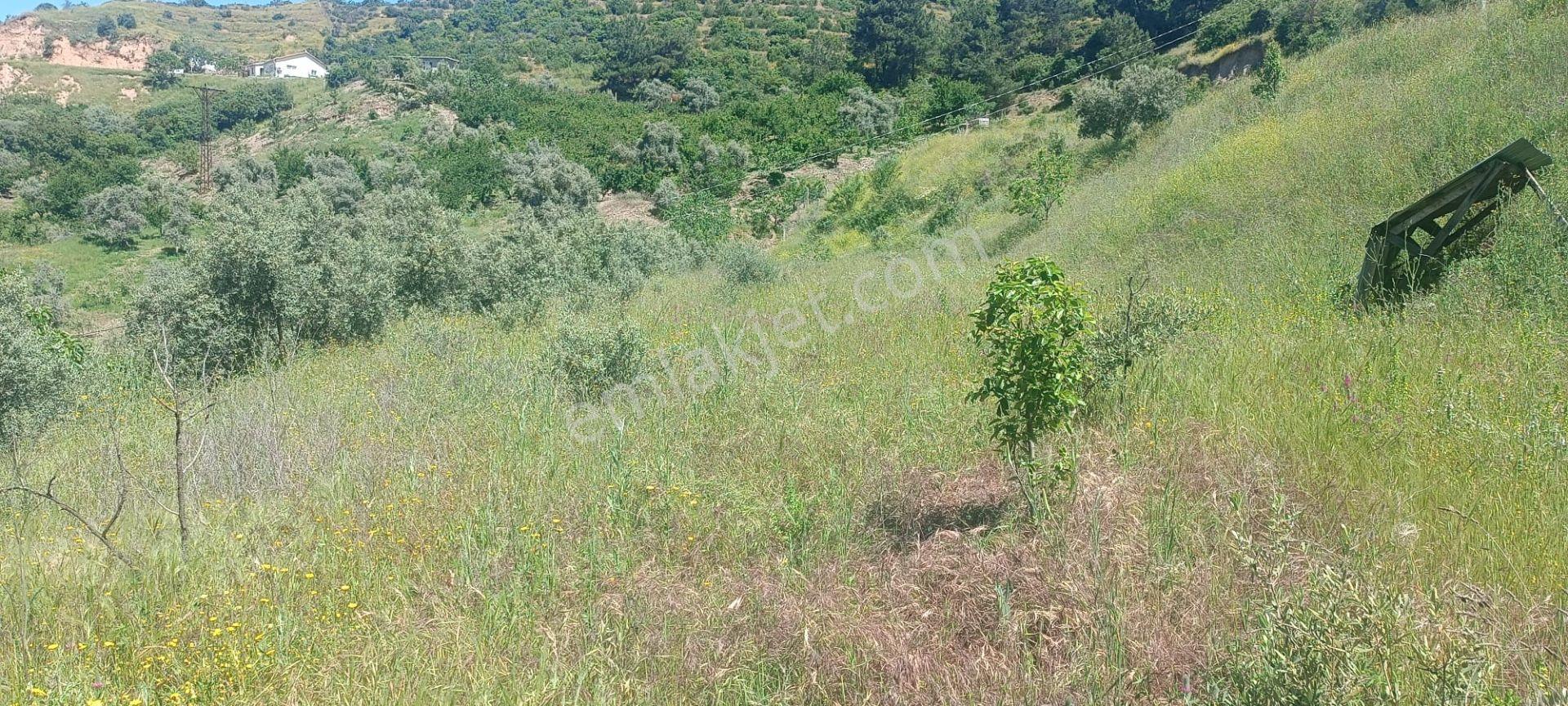 Ağabey Gayrimenkul Den Bozkır Mahallesinde Satılık Arazi - Görsel 9
