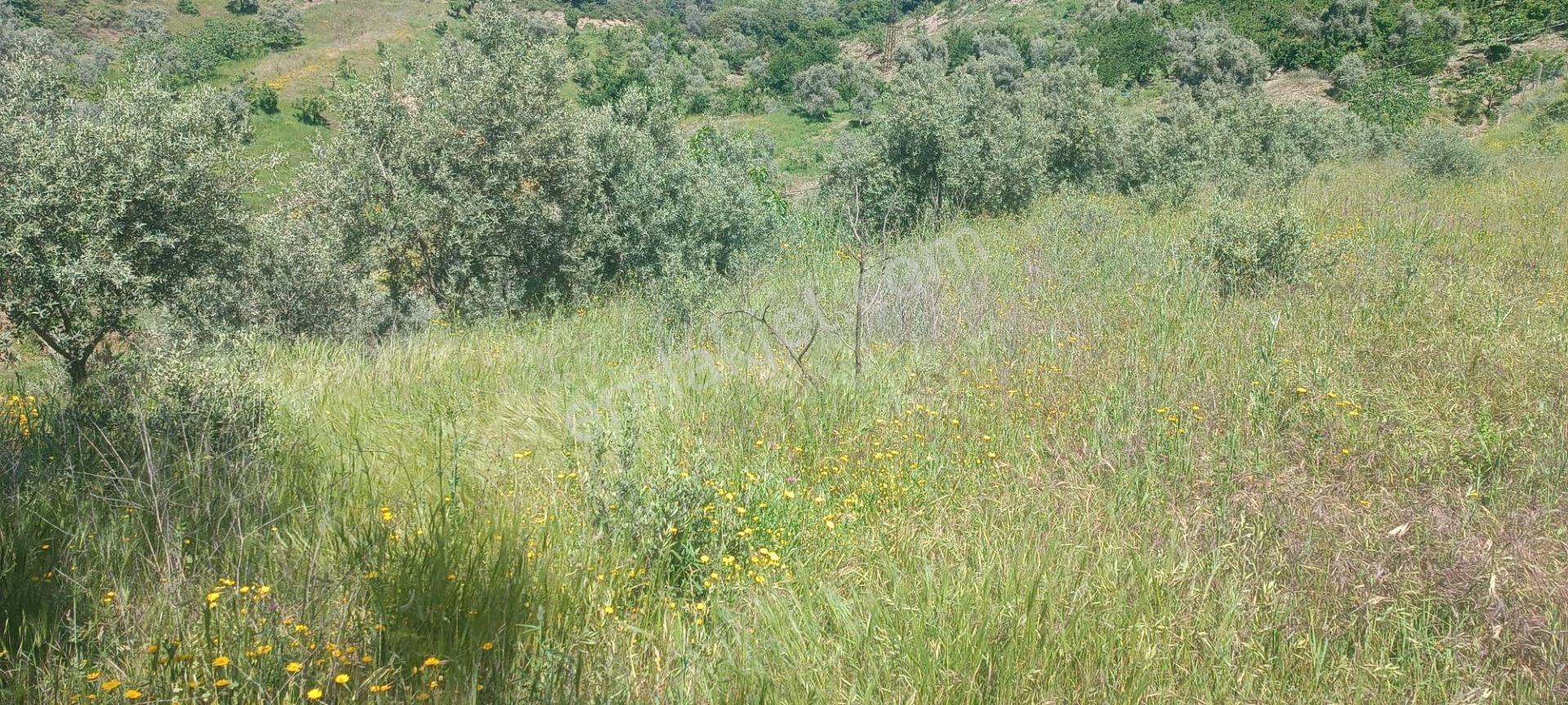 Ağabey Gayrimenkul Den Bozkır Mahallesinde Satılık Arazi - Görsel 10