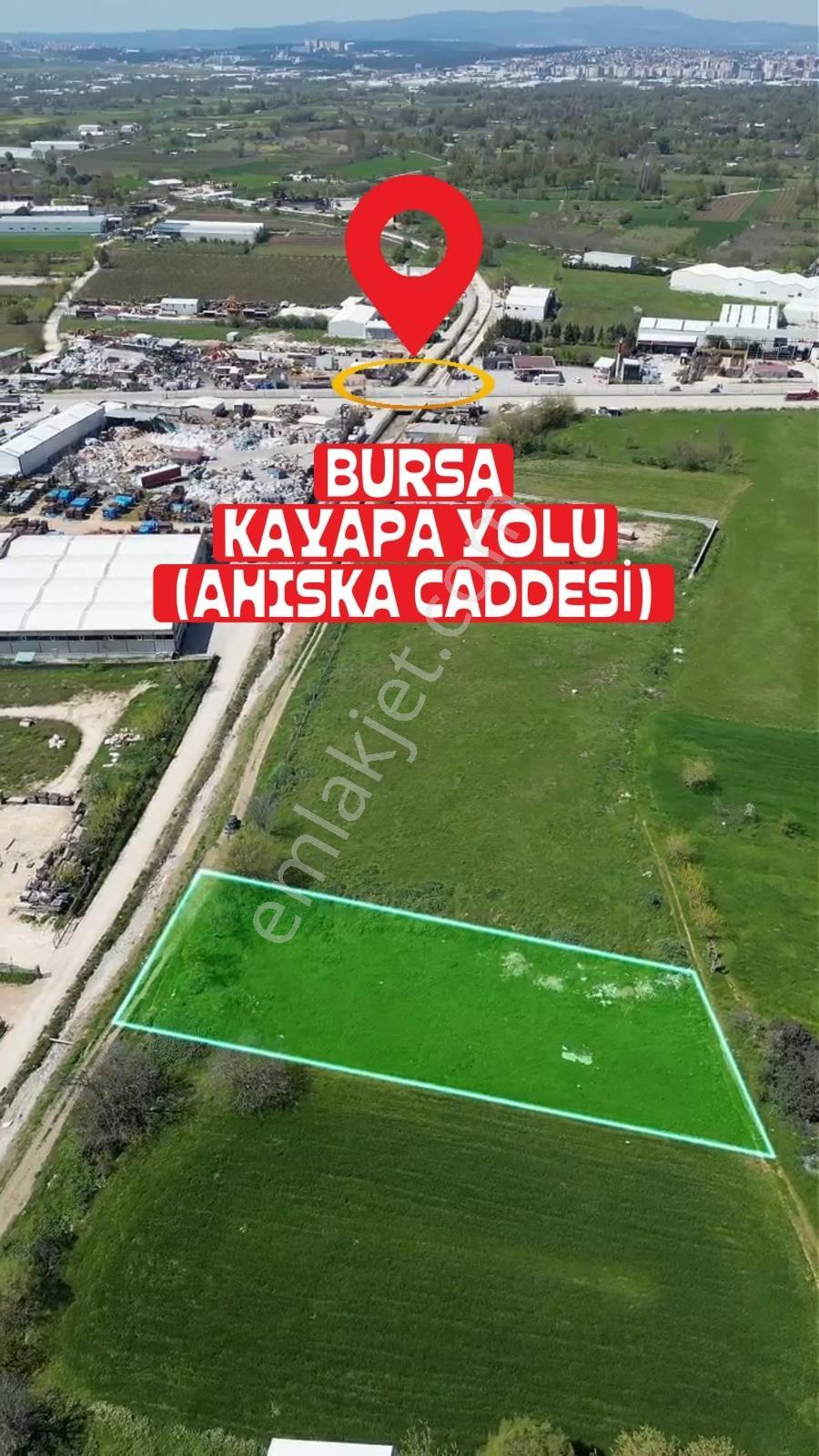 Bursa Nilüfer Çalı Mahallesinde Yatırımlık Fırsat Arazi! - Görsel 2