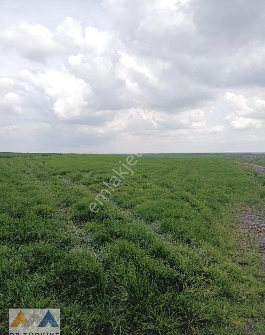 Lüleburgaz Akçaköy’de 28.500 M2 Yola Cepheli Tarla - Görsel 3