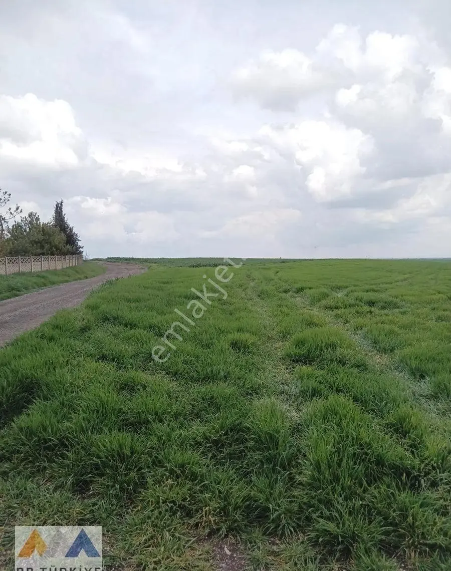 Lüleburgaz Akçaköy’de 28.500 M2 Yola Cepheli Tarla