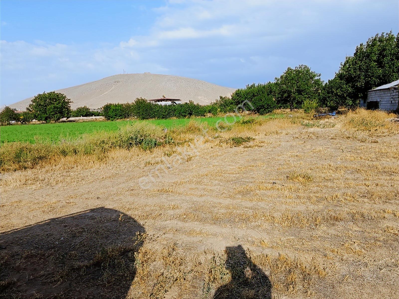 Cm Emlak Sazlıca Yeni Belediye Civarı 813 M2 İmarlı Arsa - Görsel 3