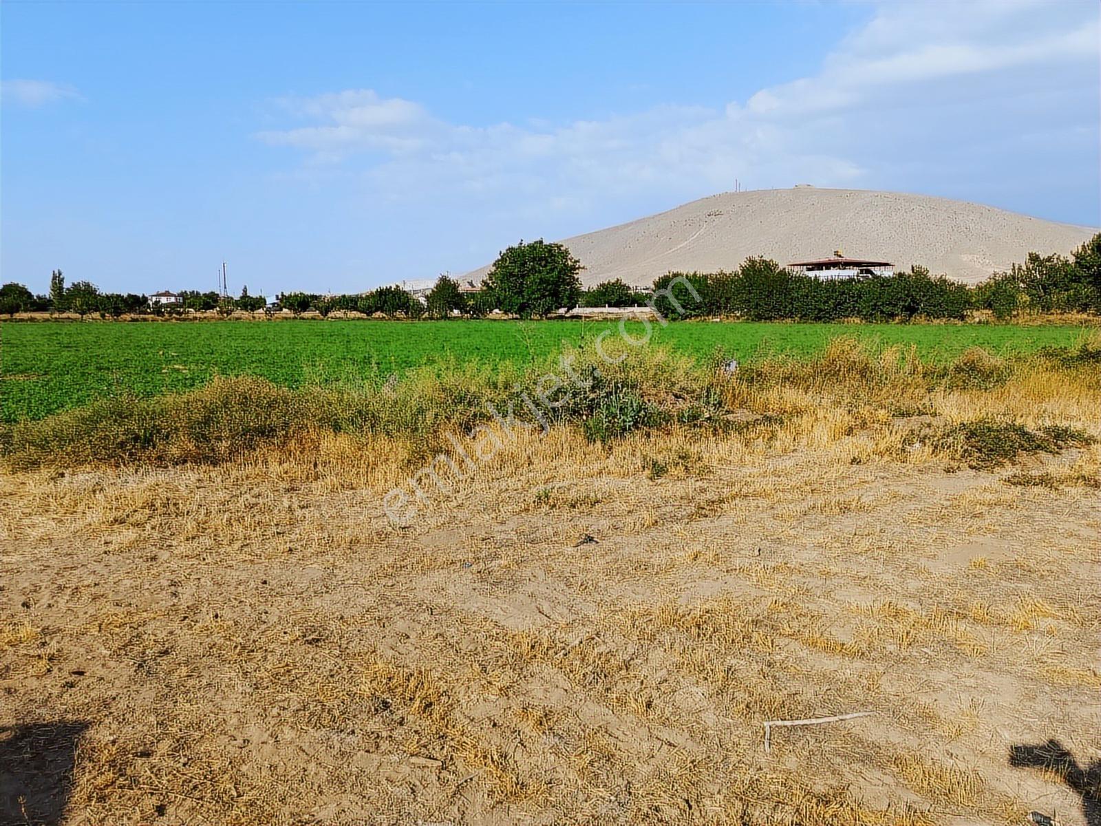 Cm Emlak Sazlıca Yeni A 101 Çaprazında 730 M2 Arsa - Görsel 8