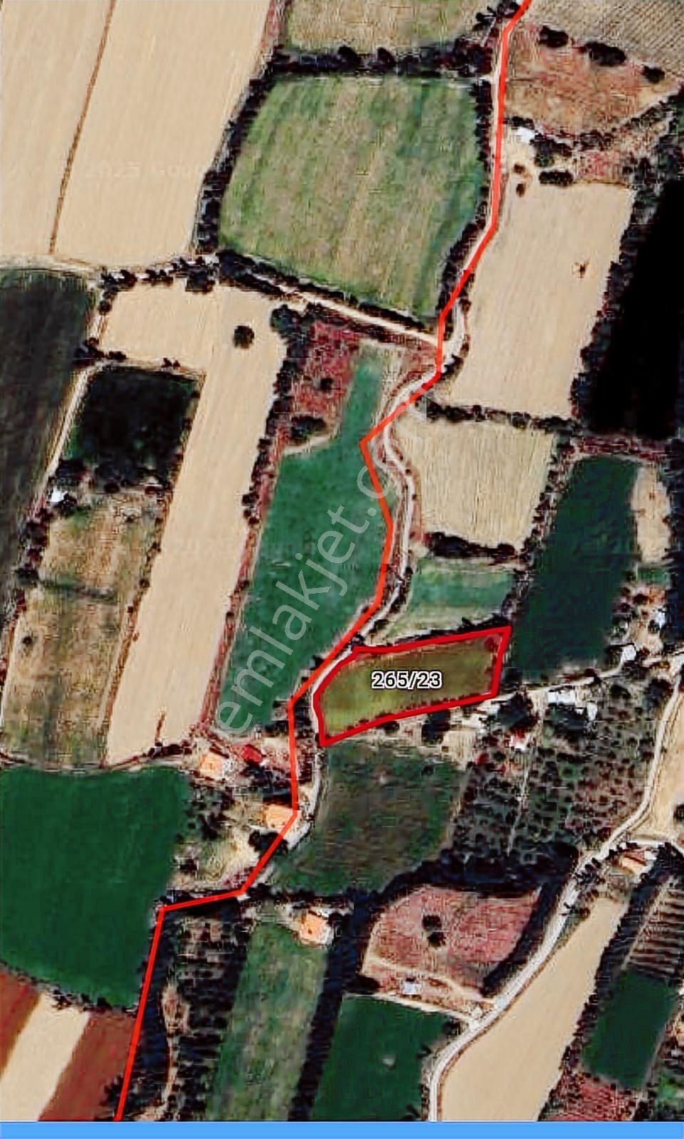 Cm Emlak Bor Tepeköy 3900 M2 Nitelik Elma Bahçesi+kavaklık
