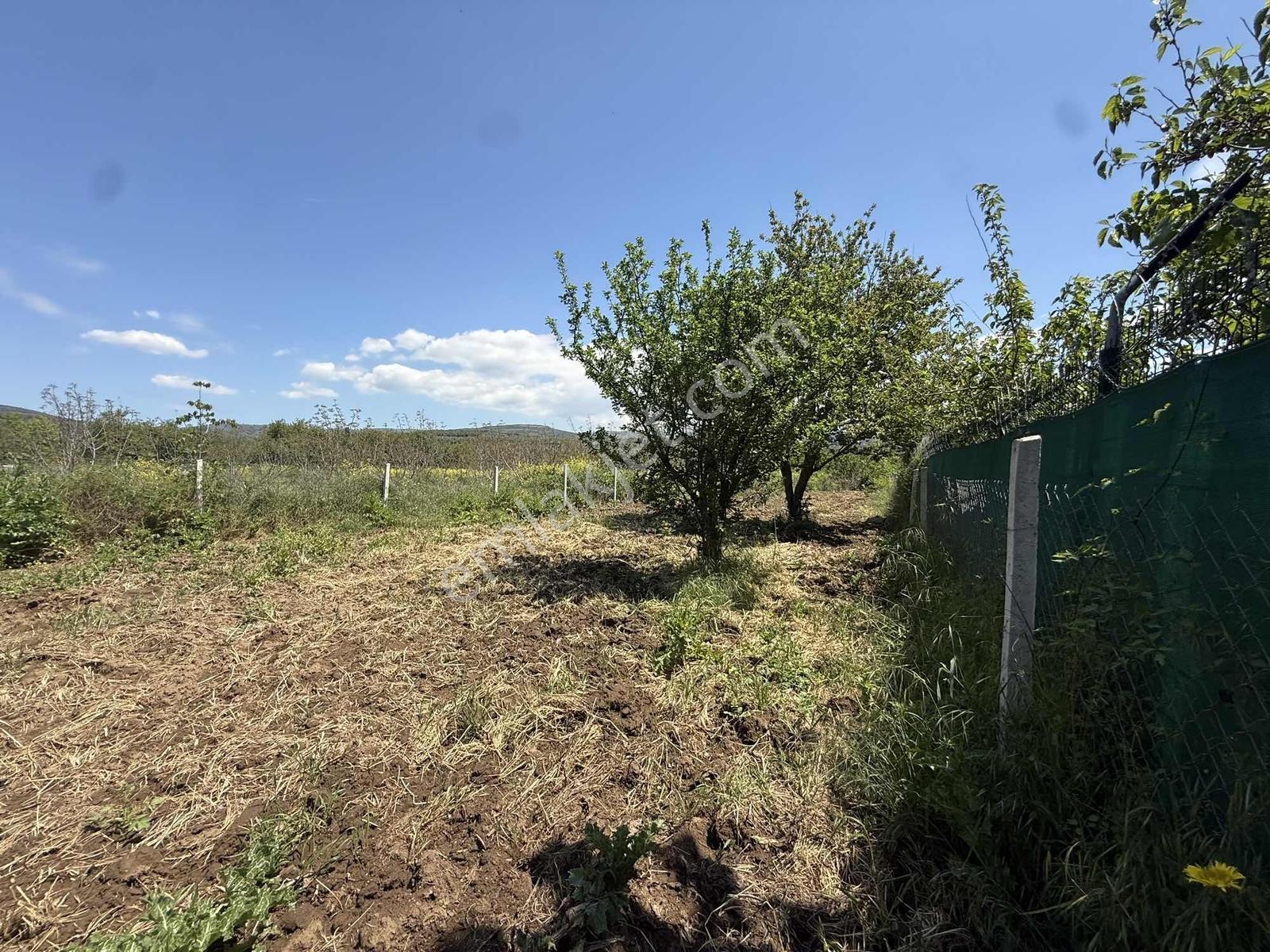 Ömerli'de Karasu Deresine Ve Asfalta Cepheli 527 M2 Hobi Bahçesi - Görsel 11