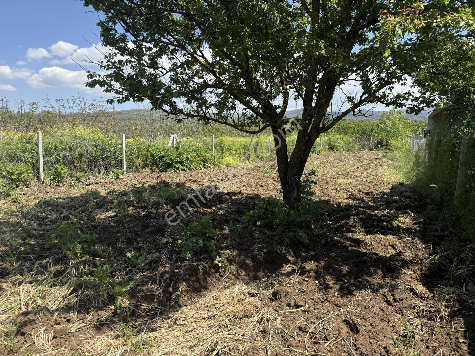 Ömerli'de Karasu Deresine Ve Asfalta Cepheli 527 M2 Hobi Bahçesi - Görsel 7