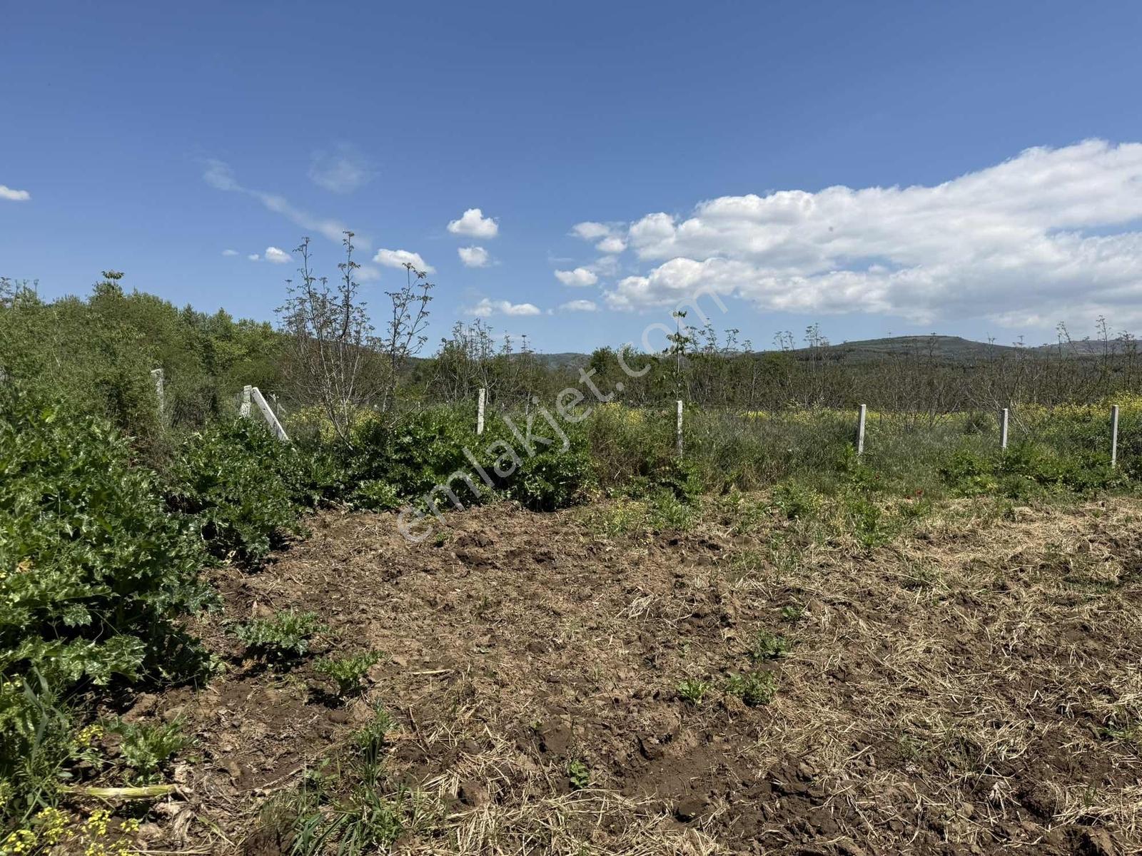 Ömerli'de Karasu Deresine Ve Asfalta Cepheli 527 M2 Hobi Bahçesi - Görsel 24