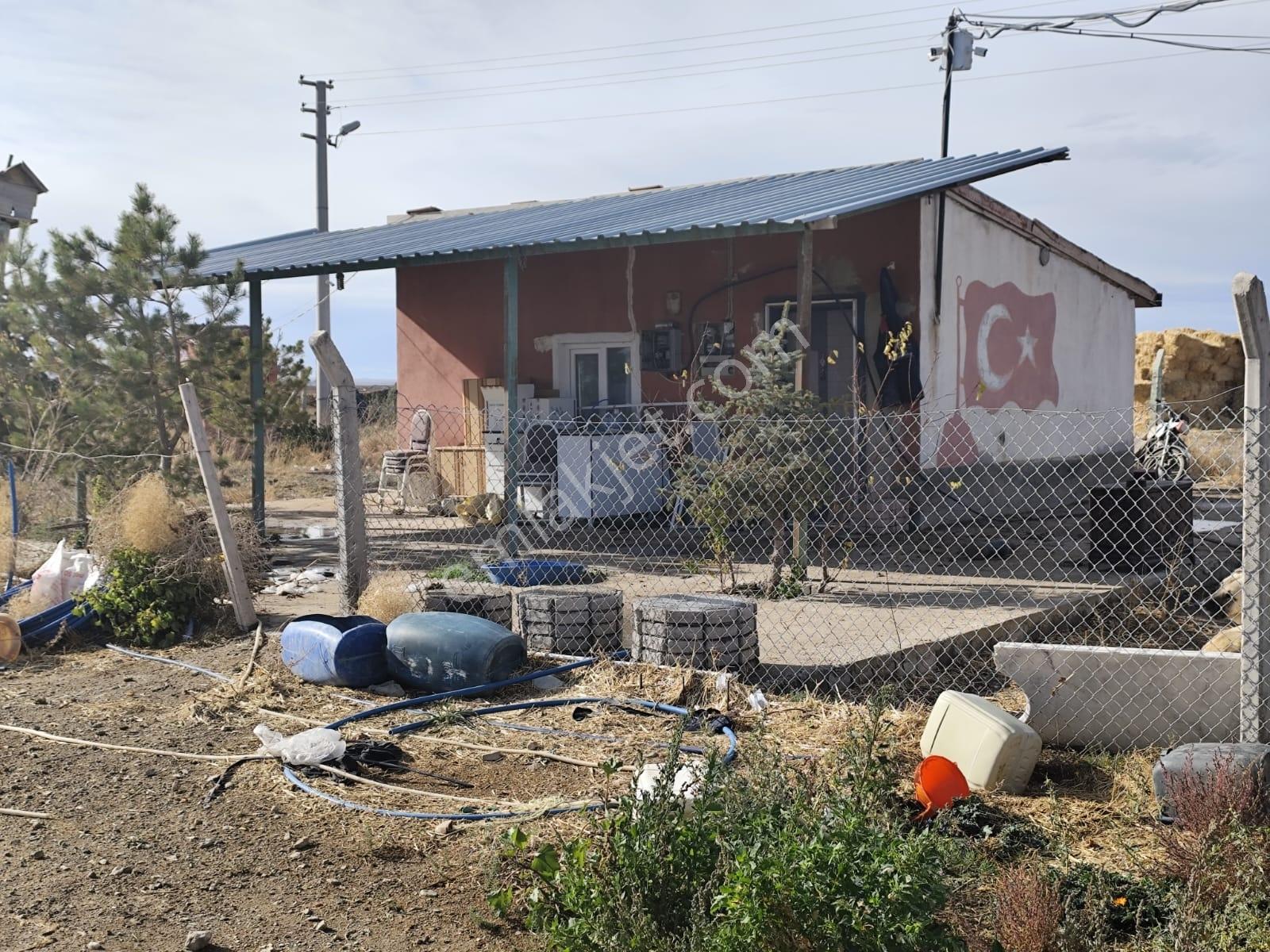 Cm Emlak Kemerhisar 20000 M2 Tarla Ve 50 Başlık Hayvan Ağılı - Görsel 15