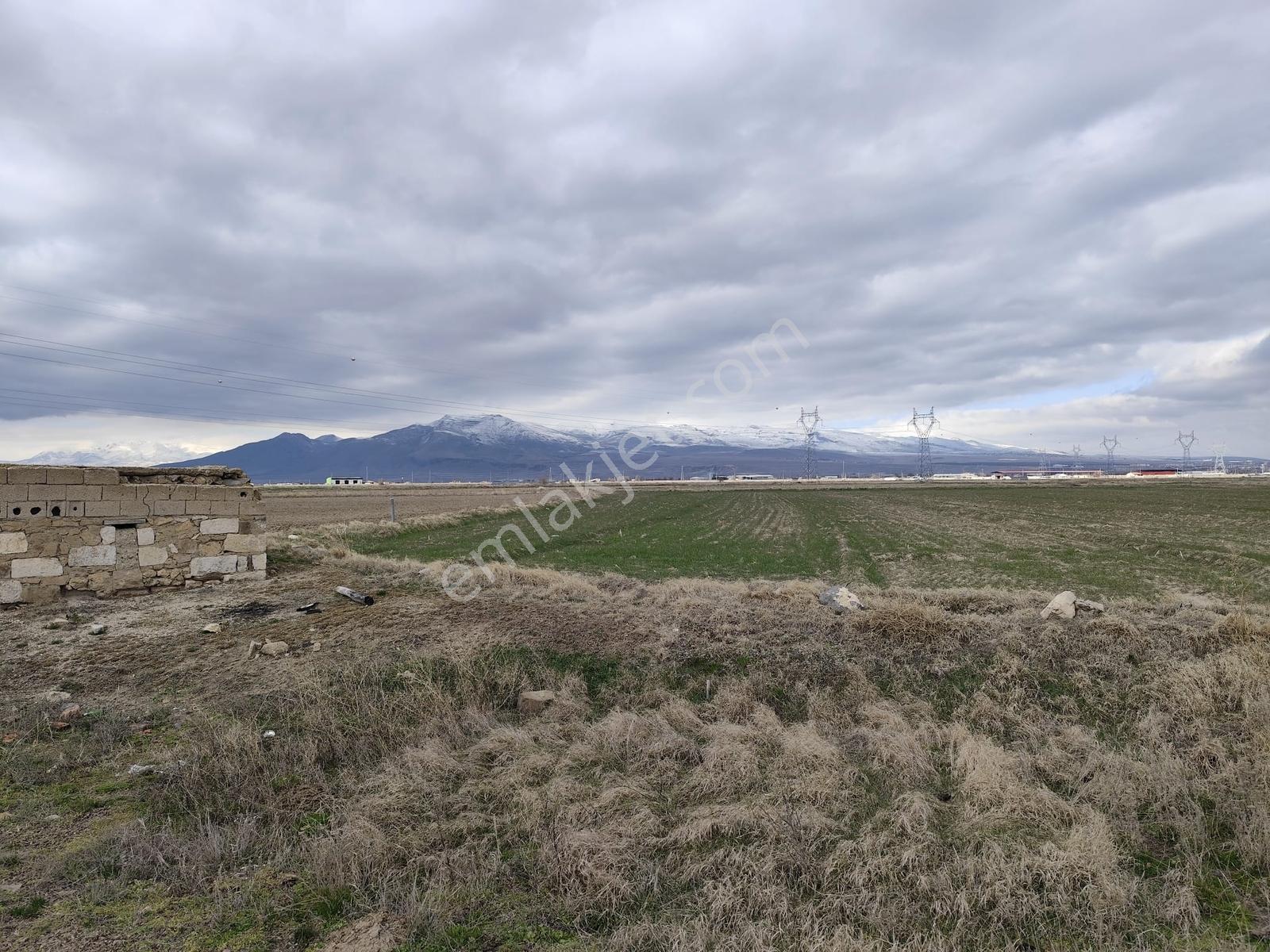 Cm Emlak Bor Acıgöl Yan Yana 24300 M2 3 Adet Sulu Tarla - Görsel 14