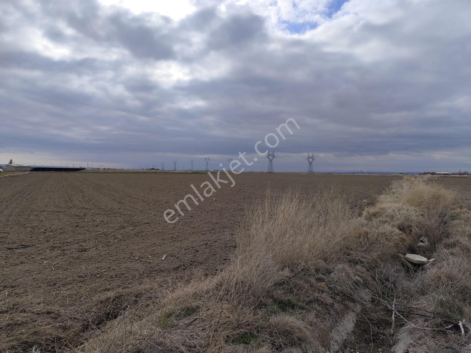 Cm Emlak Bor Acıgöl Yan Yana 24300 M2 3 Adet Sulu Tarla - Görsel 7