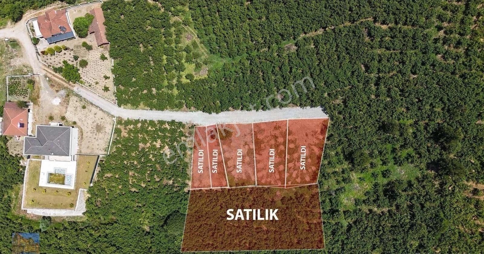 Karasu Da Topraga Yatırım Yapan Kazanır Takasa Açık - Görsel 5