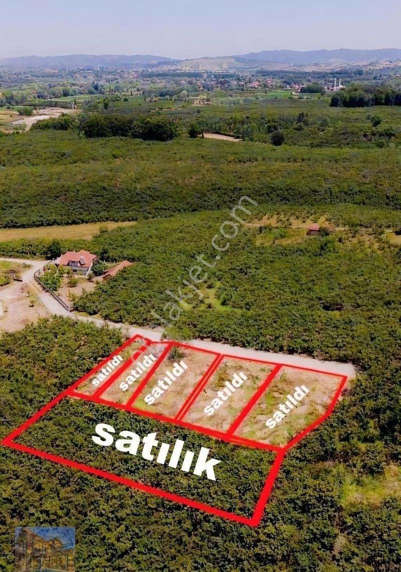 Karasu Da Topraga Yatırım Yapan Kazanır Takasa Açık - Görsel 2