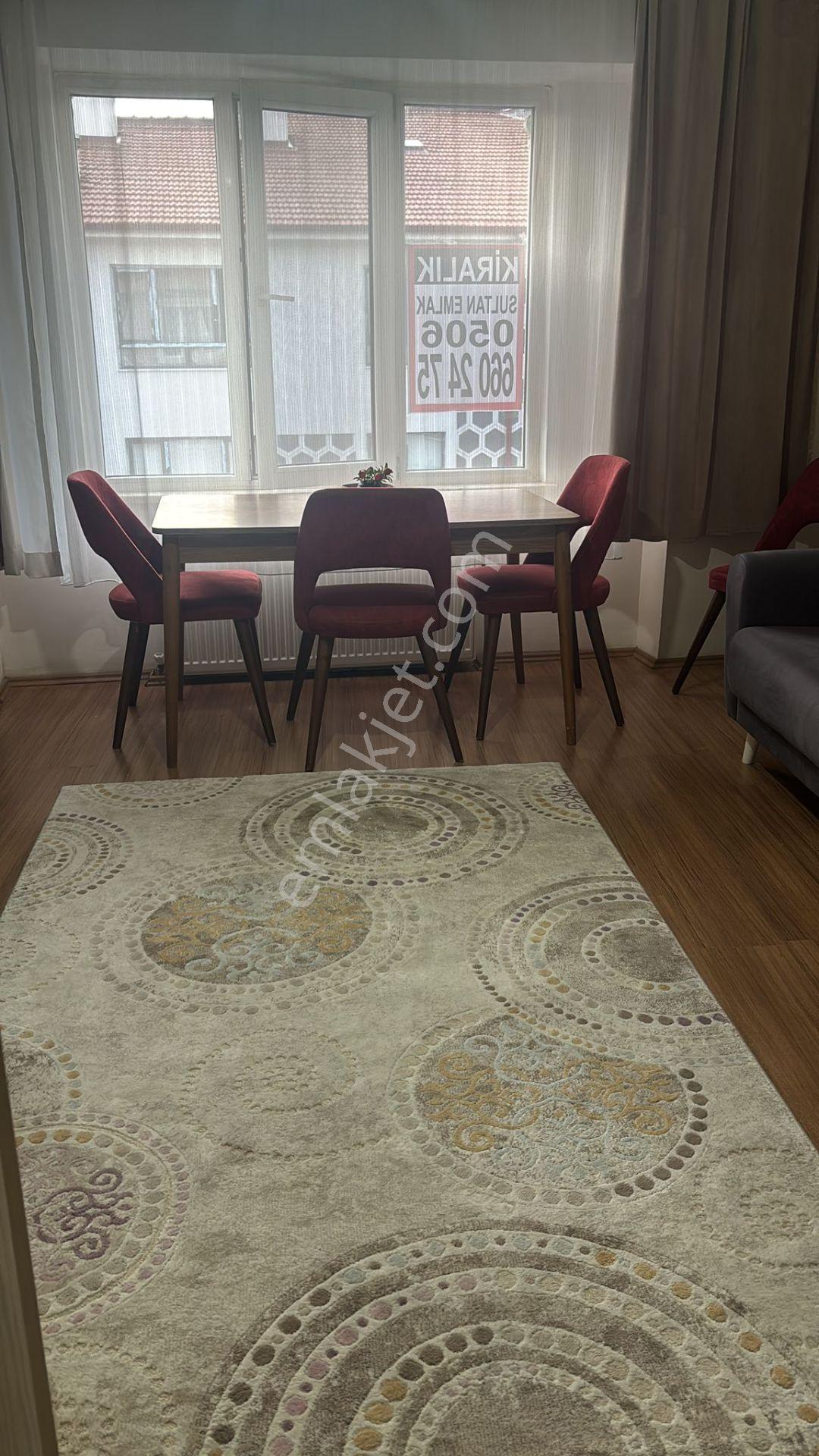 Kütahya Merkezde Kiralık Eşyalı 1+1 - Görsel 6