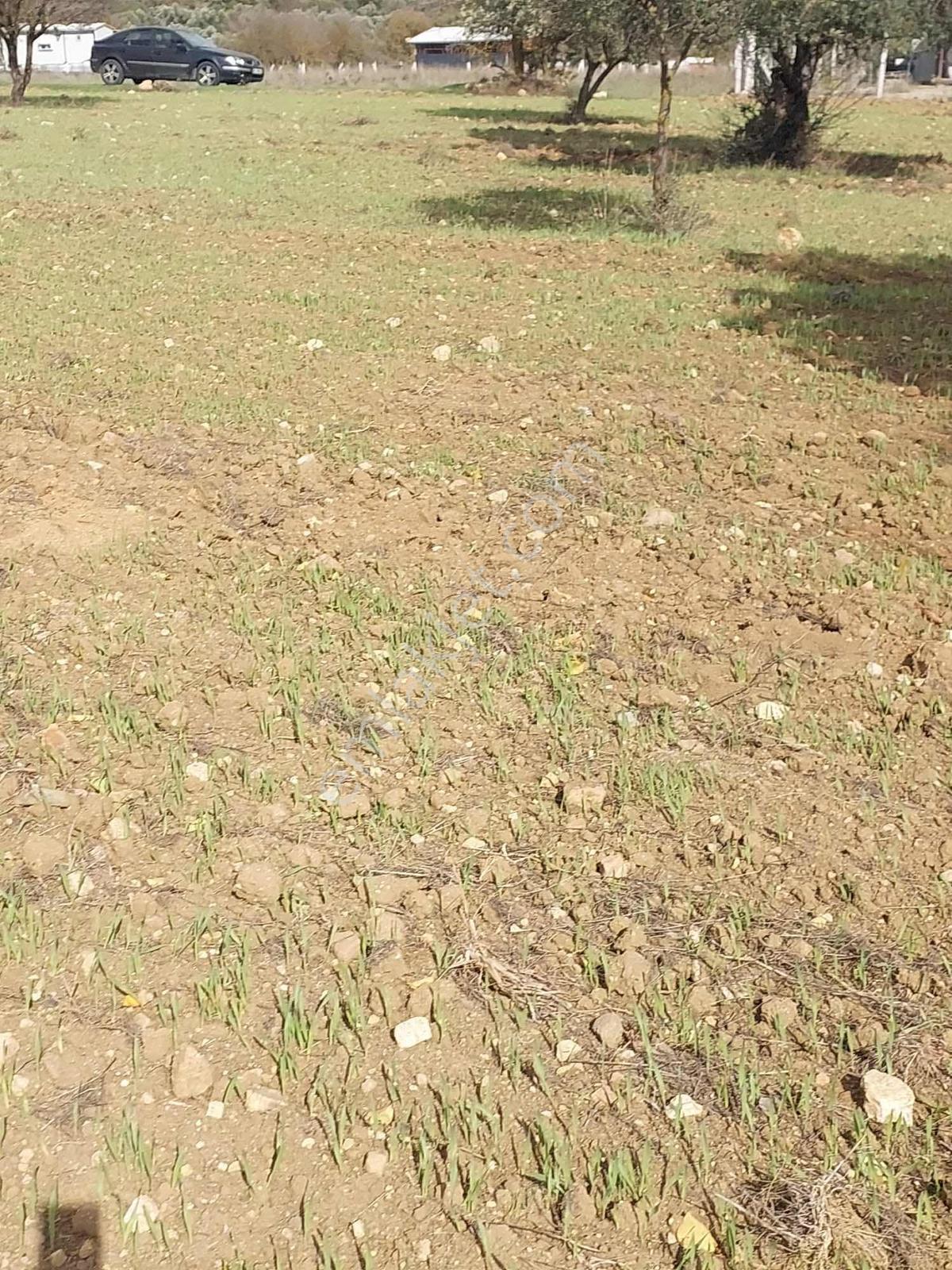 Manisa Osmancalı Satılık Hobi Bahçesine Uygun Arsa - Görsel 34