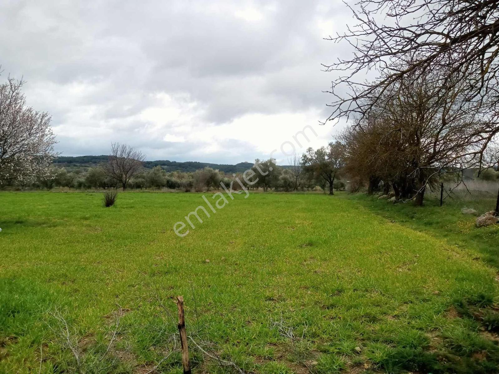 Manisa Osmancalı Satılık Hobi Bahçesine Uygun Arsa - Görsel 27