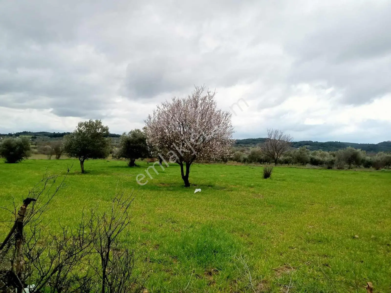 Manisa Osmancalı Satılık Hobi Bahçesine Uygun Arsa - Görsel 3