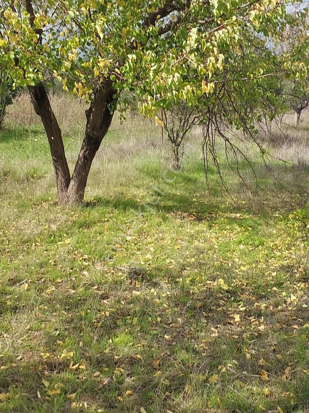 Manisa Osmancalı Satılık Hobi Bahçesine Uygun Arsa - Görsel 28