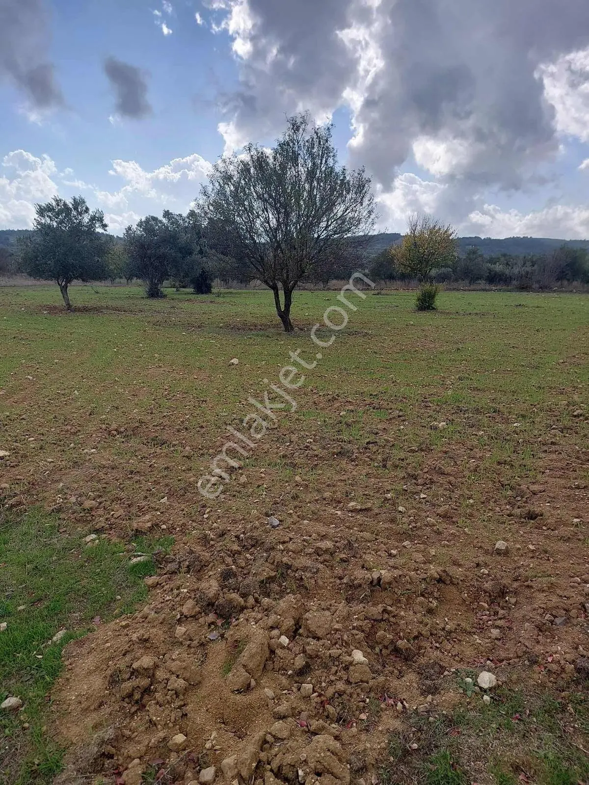 Manisa Osmancalı Satılık Hobi Bahçesine Uygun Arsa
