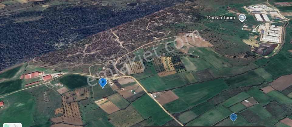 Manisa Osmancalıda Satılık Tarla 7300 M2 Yatırımlık - Görsel 10
