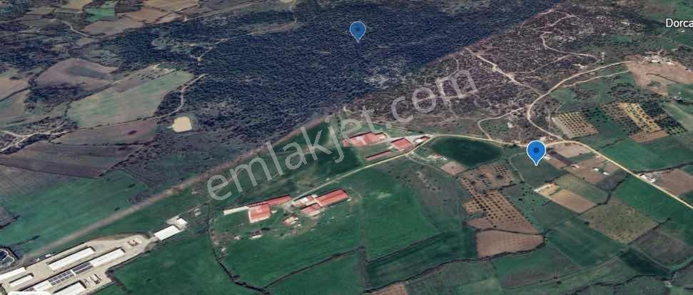 Manisa Osmancalıda Satılık Tarla 7300 M2 Yatırımlık - Görsel 11