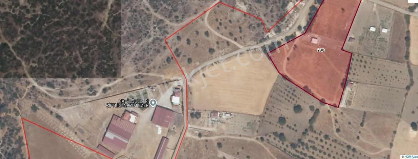 Manisa Osmancalıda Satılık Tarla 7300 M2 Yatırımlık - Görsel 3