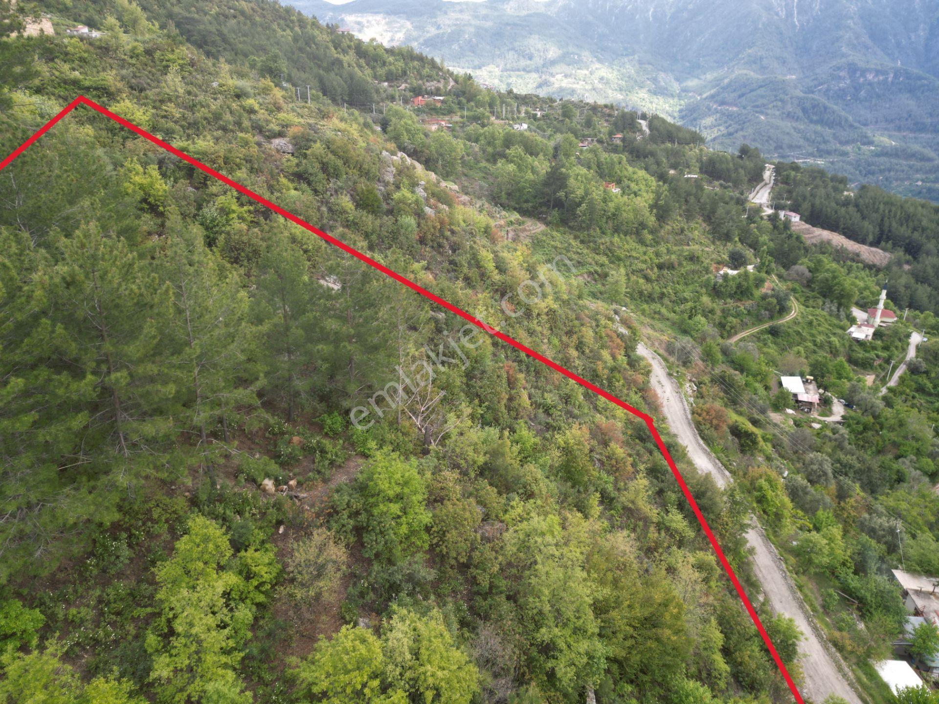 Alanya Üzümlü Köyü’nde Daire Takaslı Baraj Manzaralı Satılık 2350 M2 Tarla - Görsel 4