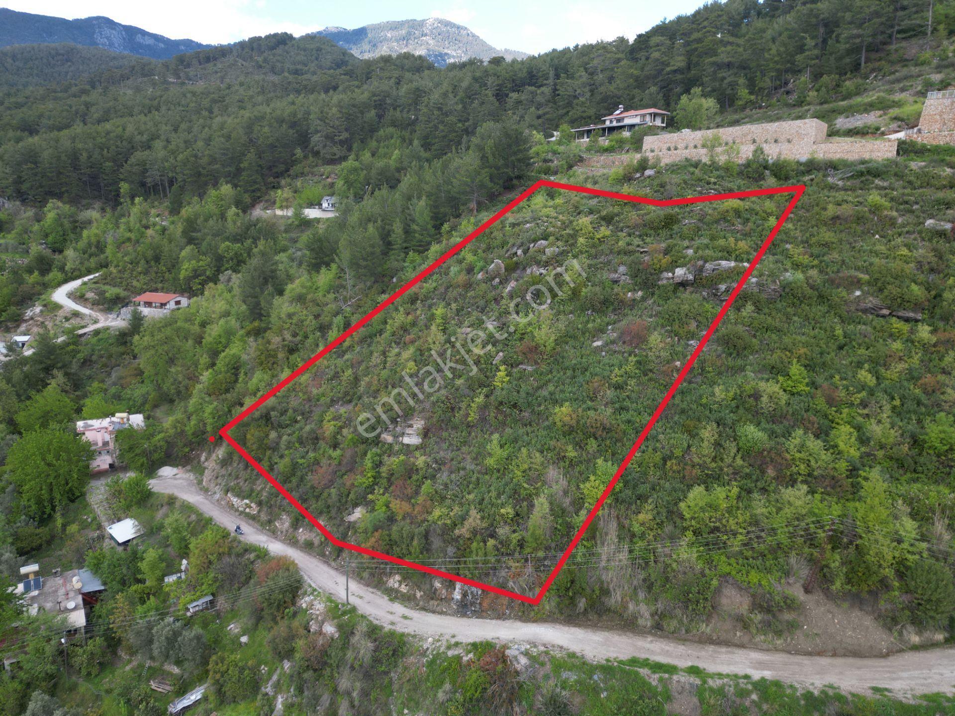 Alanya Üzümlü Köyü’nde Daire Takaslı Baraj Manzaralı Satılık 2350 M2 Tarla - Görsel 10