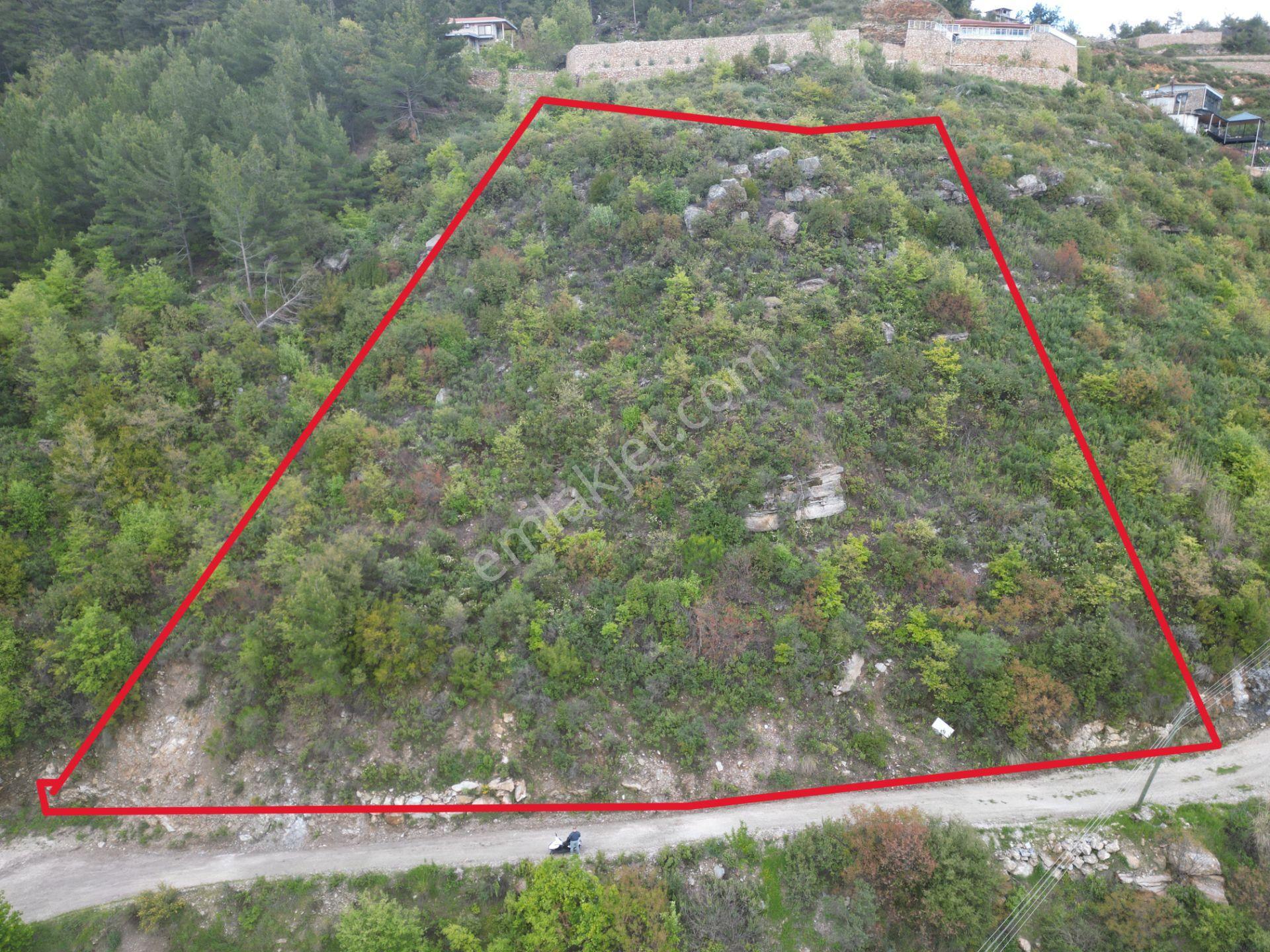 Alanya Üzümlü Köyü’nde Daire Takaslı Baraj Manzaralı Satılık 2350 M2 Tarla - Görsel 6