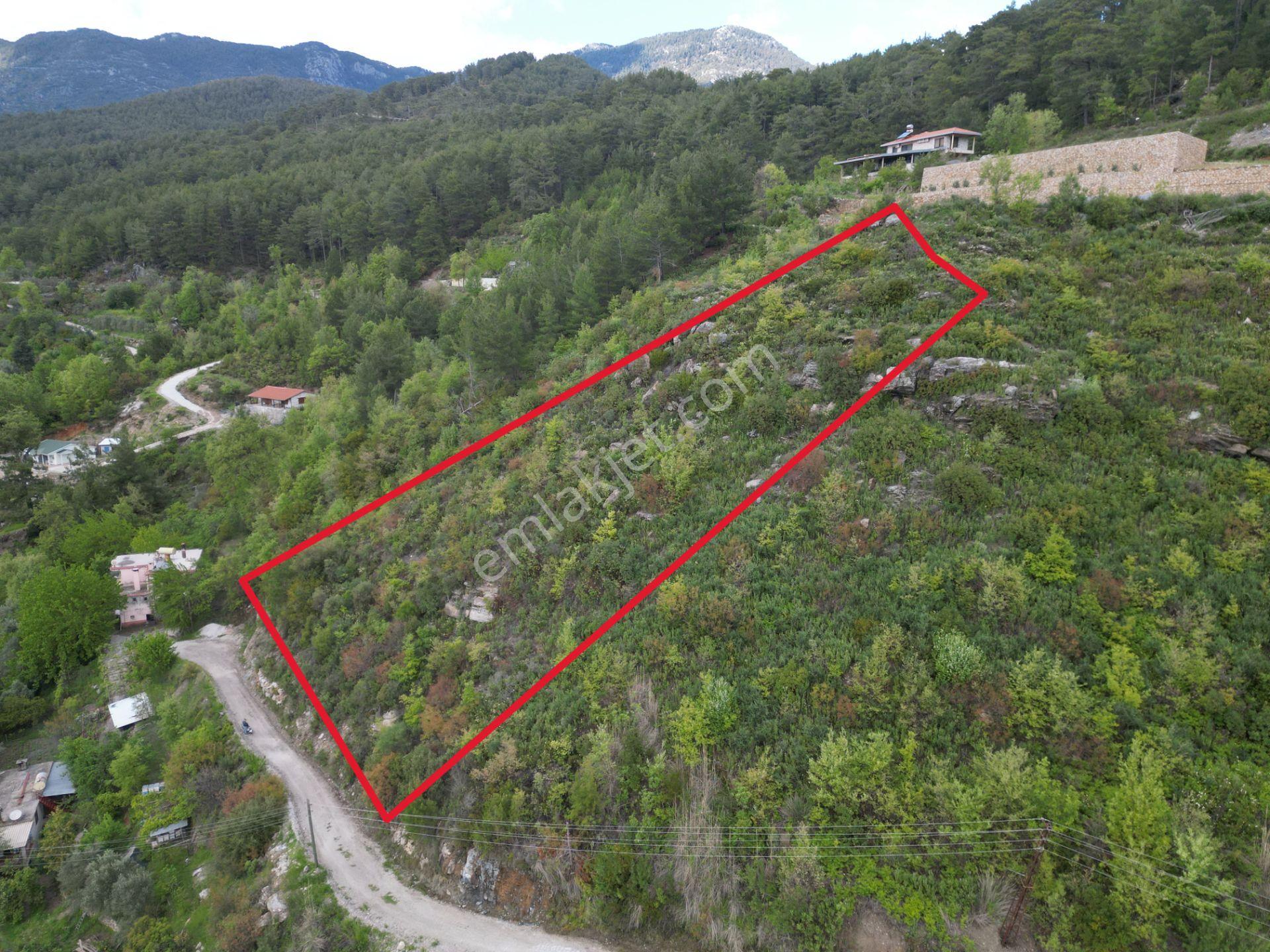 Alanya Üzümlü Köyü’nde Daire Takaslı Baraj Manzaralı Satılık 2350 M2 Tarla - Görsel 11
