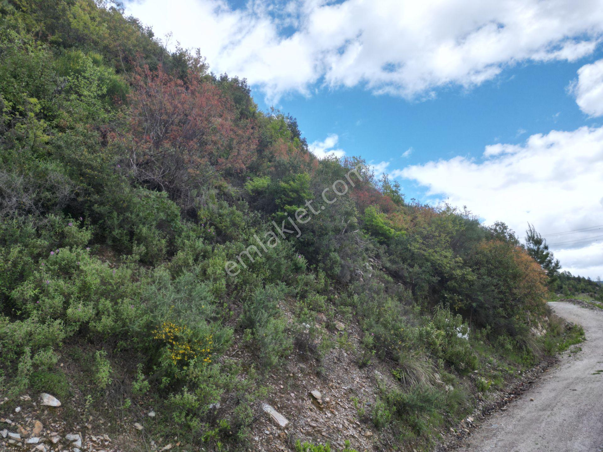 Alanya Üzümlü Köyü’nde Daire Takaslı Baraj Manzaralı Satılık 2350 M2 Tarla - Görsel 7