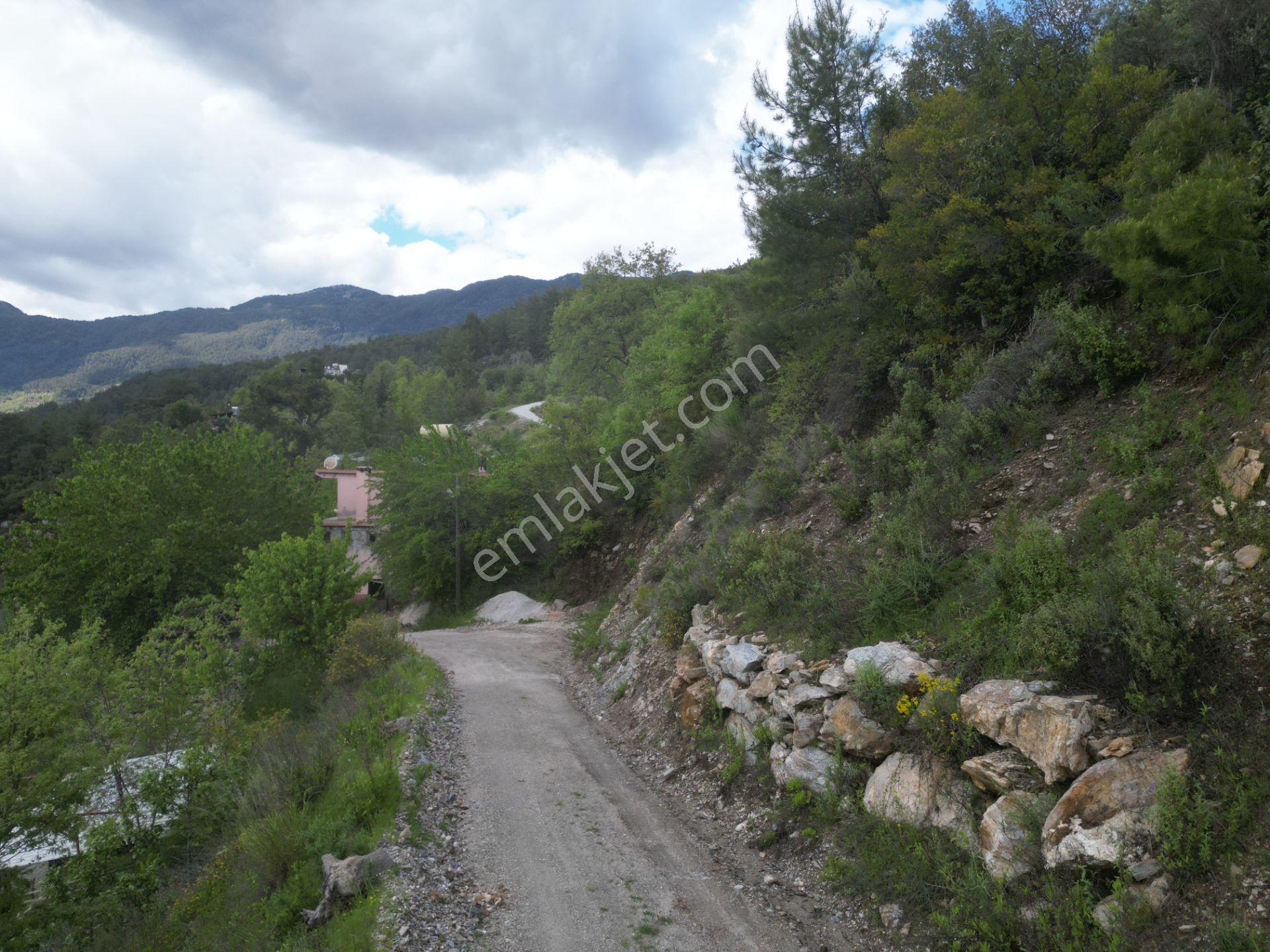 Alanya Üzümlü Köyü’nde Daire Takaslı Baraj Manzaralı Satılık 2350 M2 Tarla - Görsel 8
