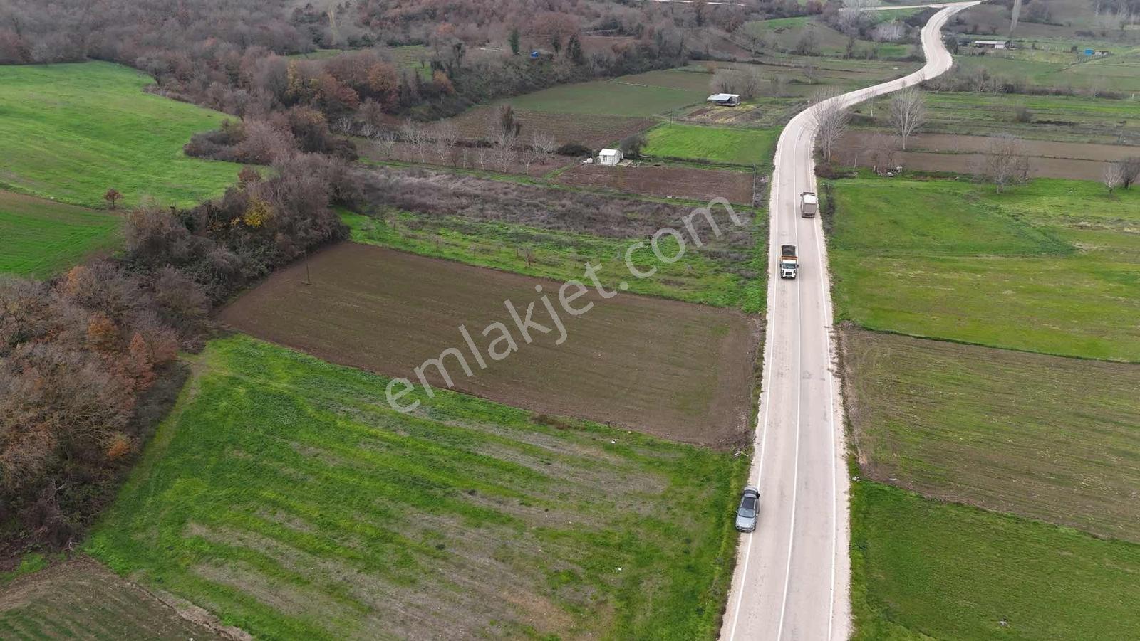 Bursadabul'dan Çavuş Mah.ana Asfalta Cephe Tarla 3.747m2 - Görsel 7