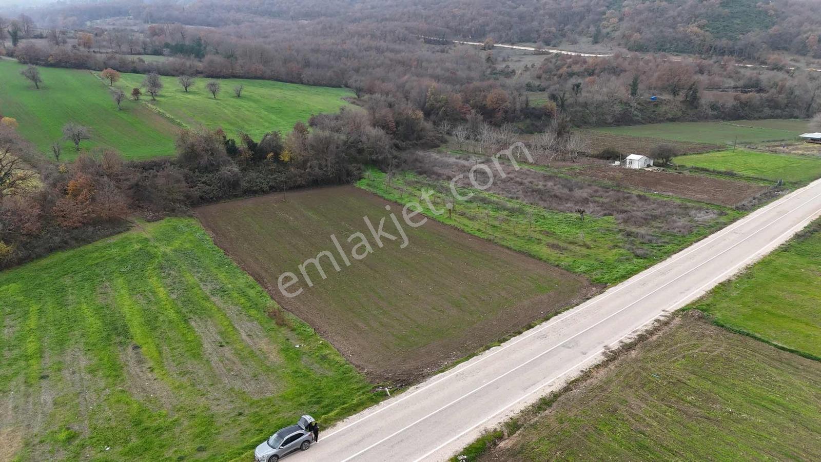 Bursadabul'dan Çavuş Mah.ana Asfalta Cephe Tarla 3.747m2 - Görsel 9