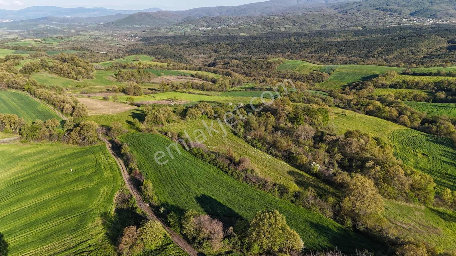 Bursadabul'dan Sünlük Mah.kadastro Yollu Tarla 6.150 M2 - Görsel 15