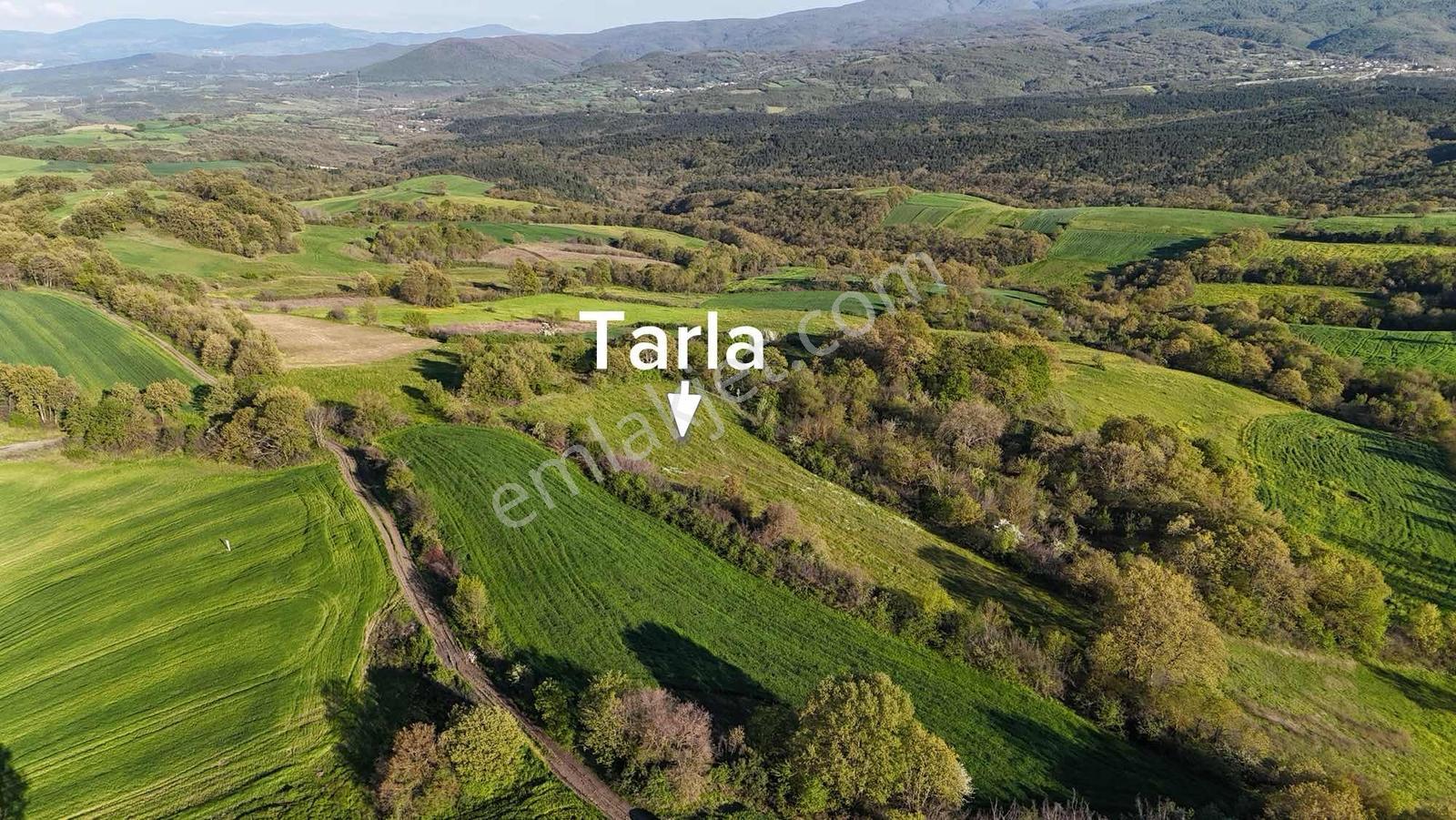 Bursadabul'dan Sünlük Mah.kadastro Yollu Tarla 6.150 M2 - Görsel 4