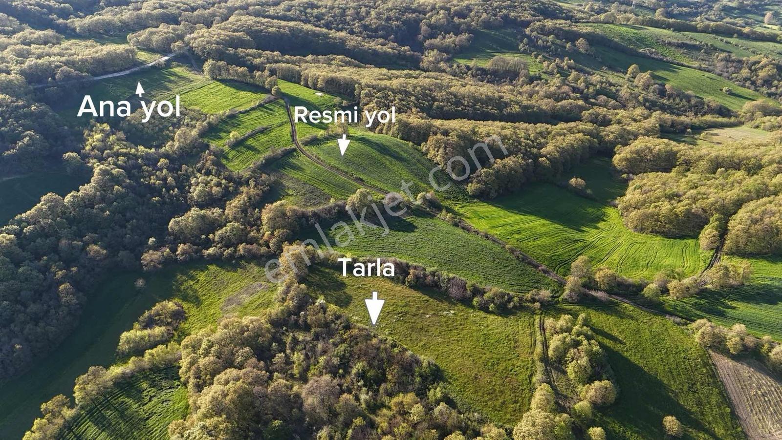 Bursadabul'dan Sünlük Mah.kadastro Yollu Tarla 6.150 M2