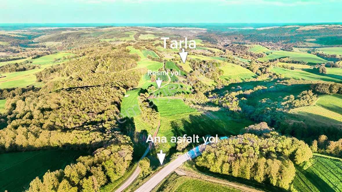 Bursadabul'dan Sünlük Mah.kadastro Yollu Tarla 6.150 M2 - Görsel 3