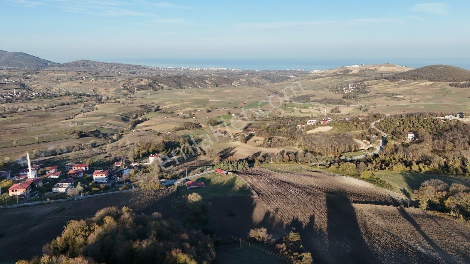 Samsun Atakum Sarayköy'de Deniz Manzaralı 1146 M² Tek Tapu Tarla - Görsel 5