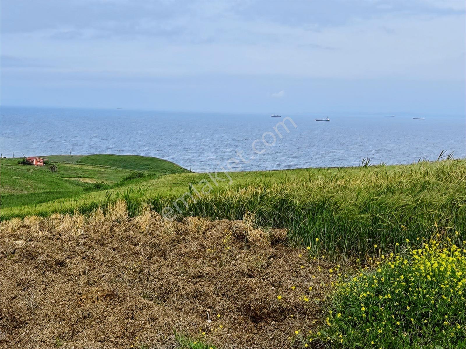 Fırsat ! Deniz Manzaralı 500m2 İmarlı İfrazlı Arsa - Görsel 6