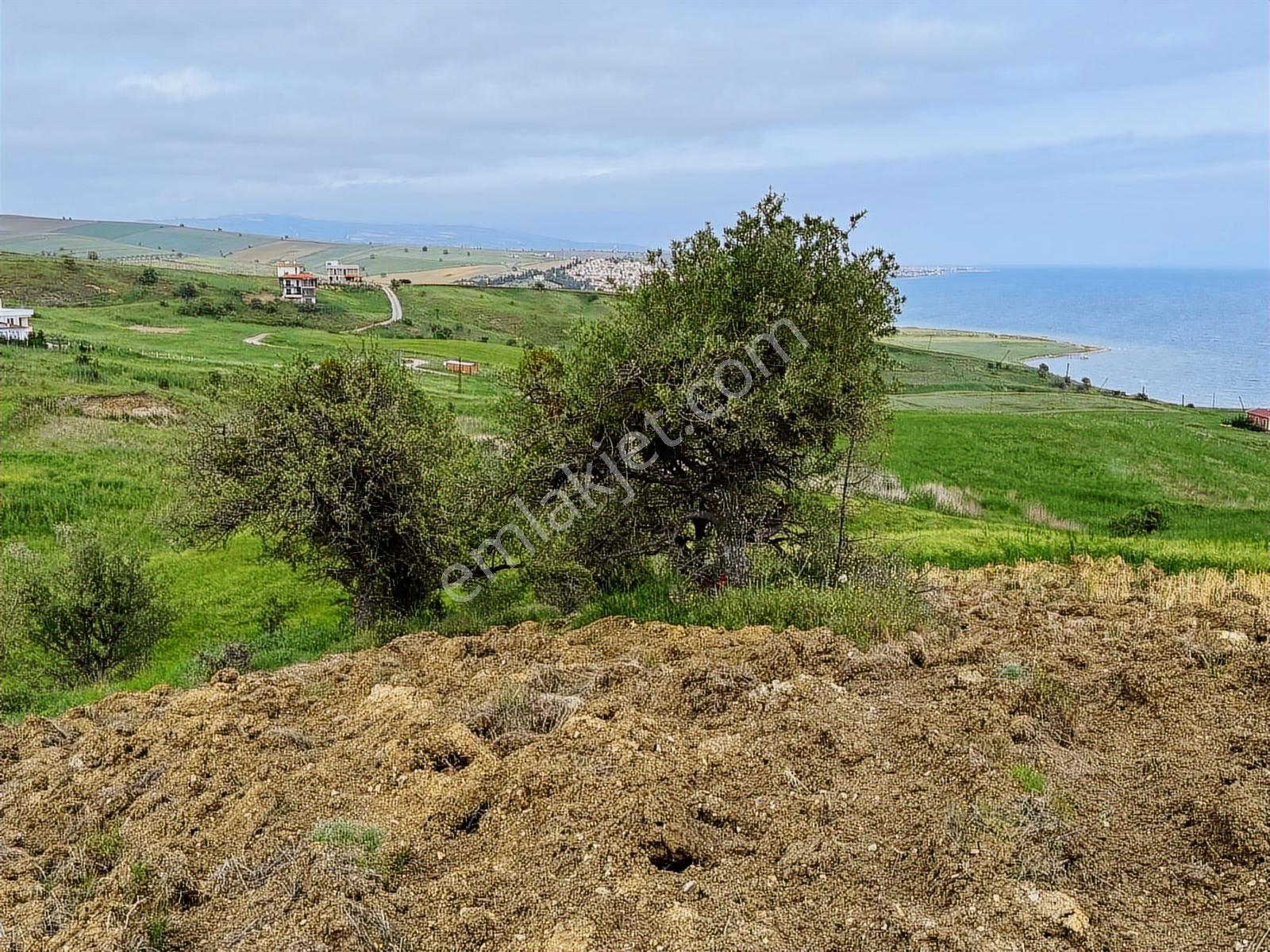 Fırsat ! Deniz Manzaralı 500m2 İmarlı İfrazlı Arsa - Görsel 15