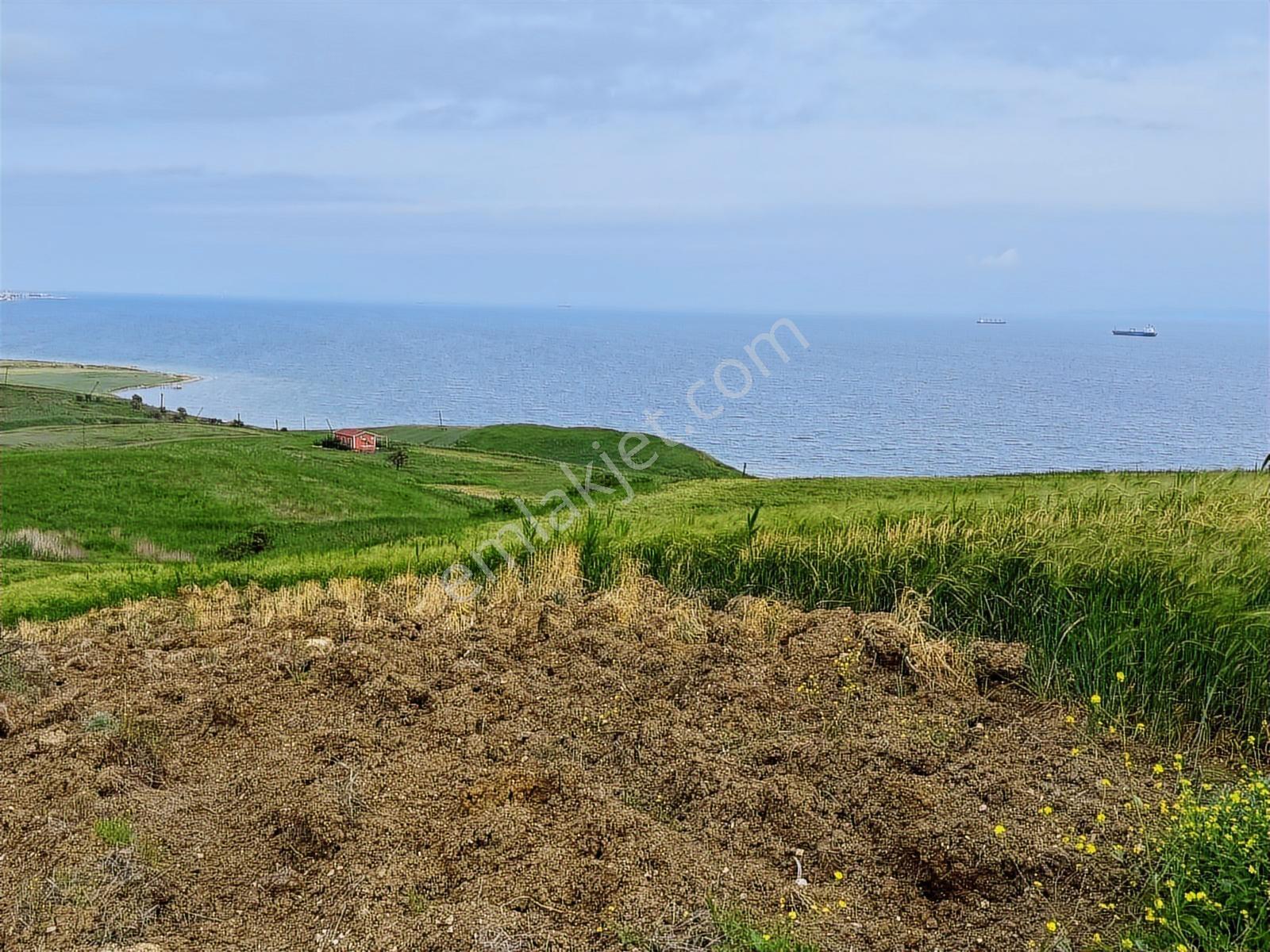 Fırsat ! Deniz Manzaralı 500m2 İmarlı İfrazlı Arsa - Görsel 12