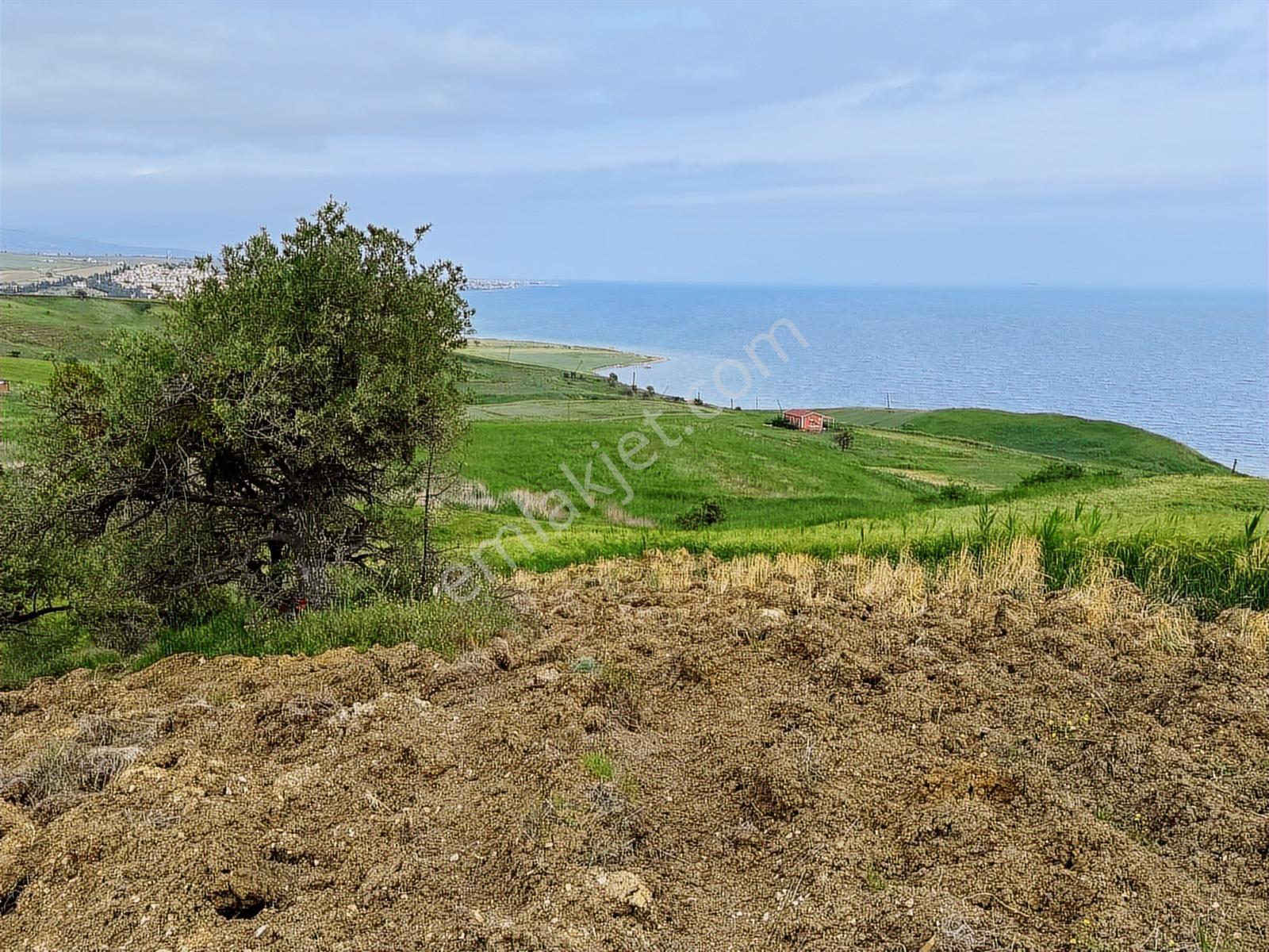 Fırsat ! Deniz Manzaralı 500m2 İmarlı İfrazlı Arsa - Görsel 8