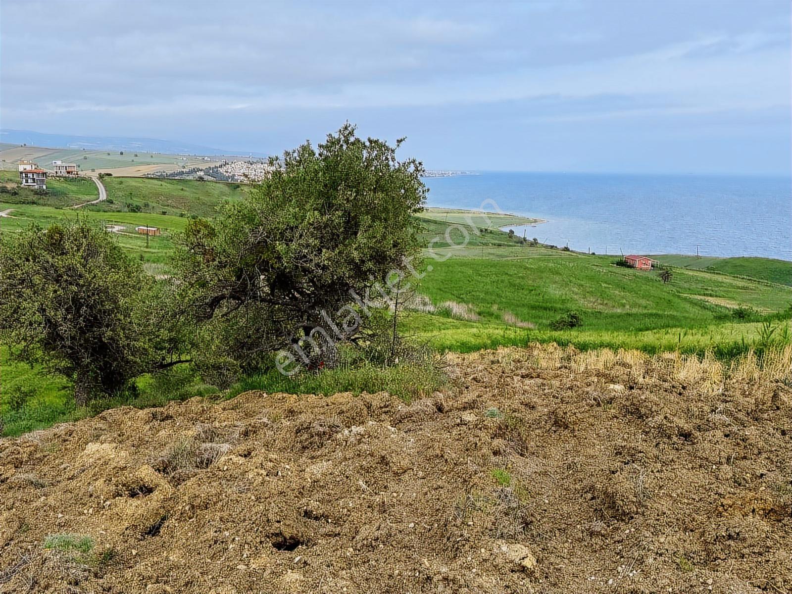 Fırsat ! Deniz Manzaralı 500m2 İmarlı İfrazlı Arsa - Görsel 7