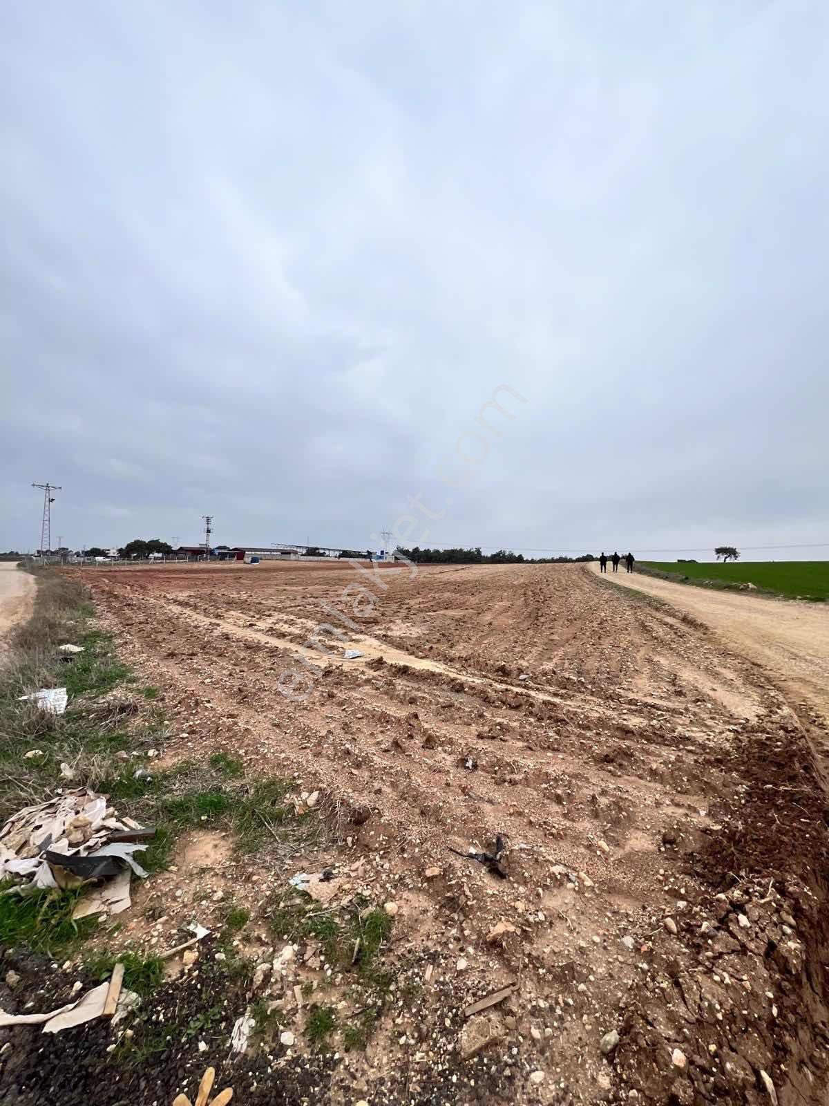Çelebi'den Cadde Üzerinde Satılık Köşe Başı 4.650 M2 Tarla - Görsel 5