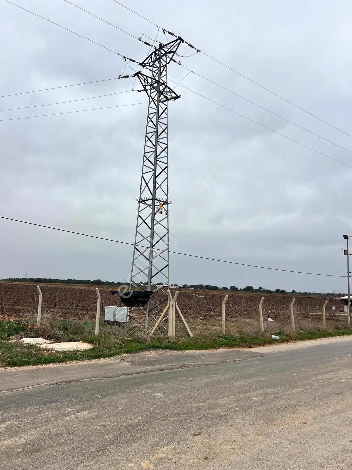 Çelebi'den Cadde Üzerinde Satılık Köşe Başı 4.650 M2 Tarla