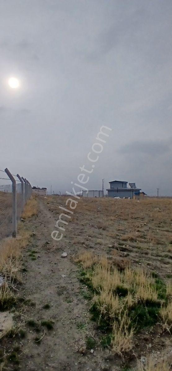 Üniversite Karşısı Keşolarda Harika Konumda Villa + Tarla - Görsel 23