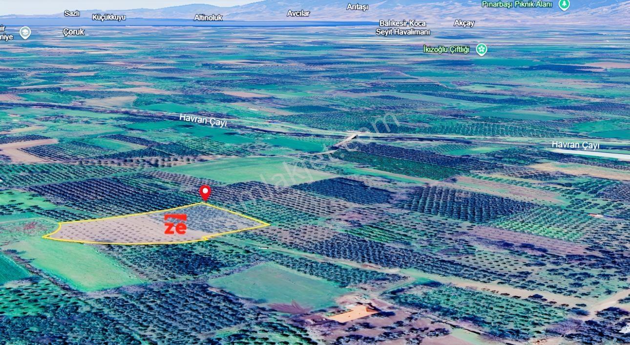 Zecorner Premiumdan Havran Merkeze Yakın 250 Ağaçlı Zeytinlik - Görsel 6